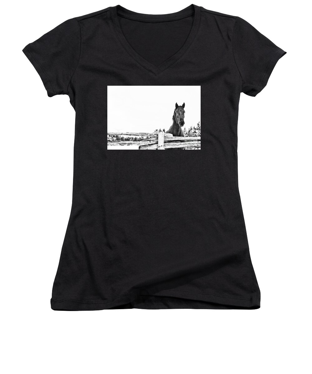 Horse Women's V-Neck featuring the photograph Take Me for a Ride by Traci Cottingham