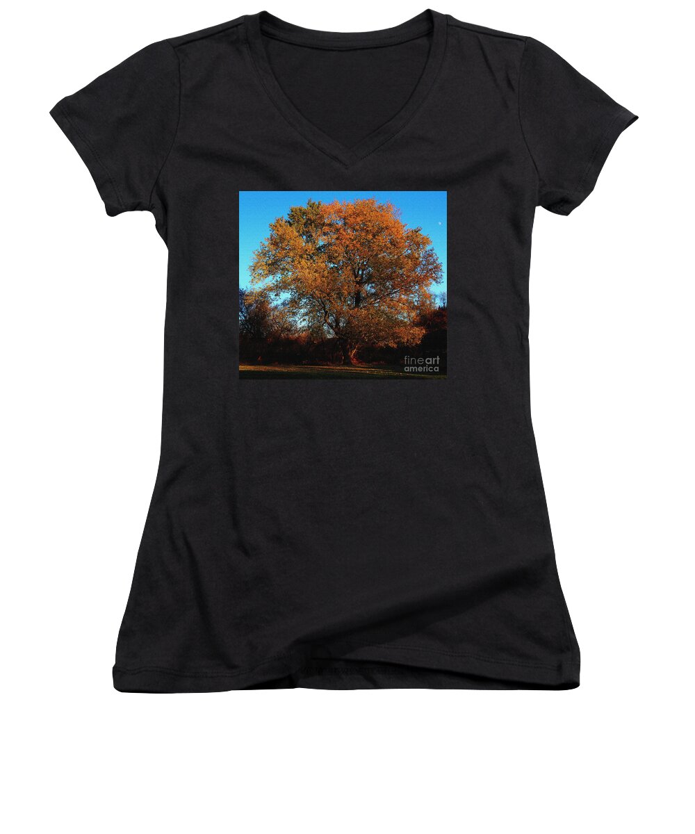 Tree Women's V-Neck featuring the photograph The Tree of Life by Davandra Cribbie