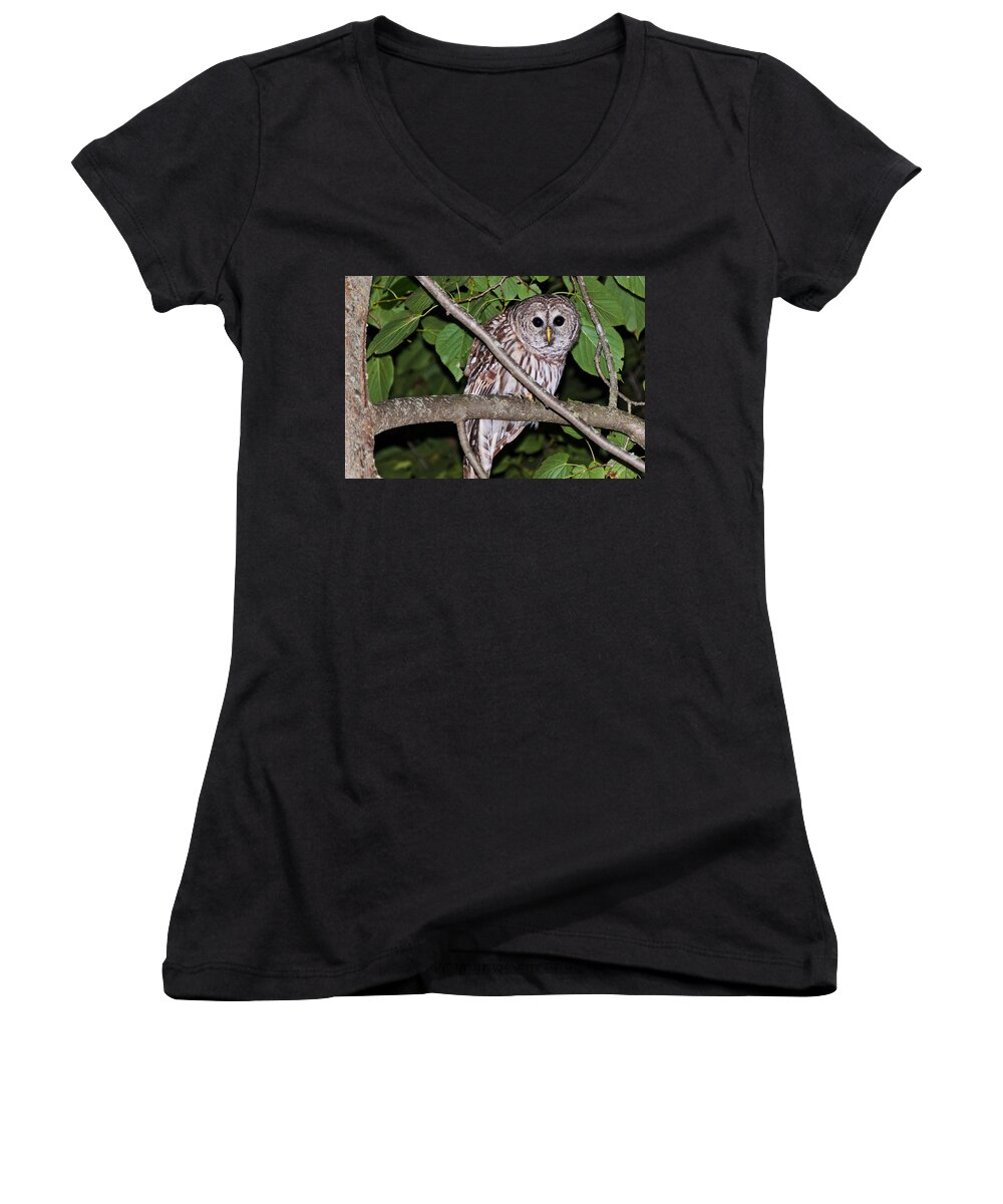 Barred Owl Women's V-Neck featuring the photograph Who Are You looking at by Cheryl Baxter