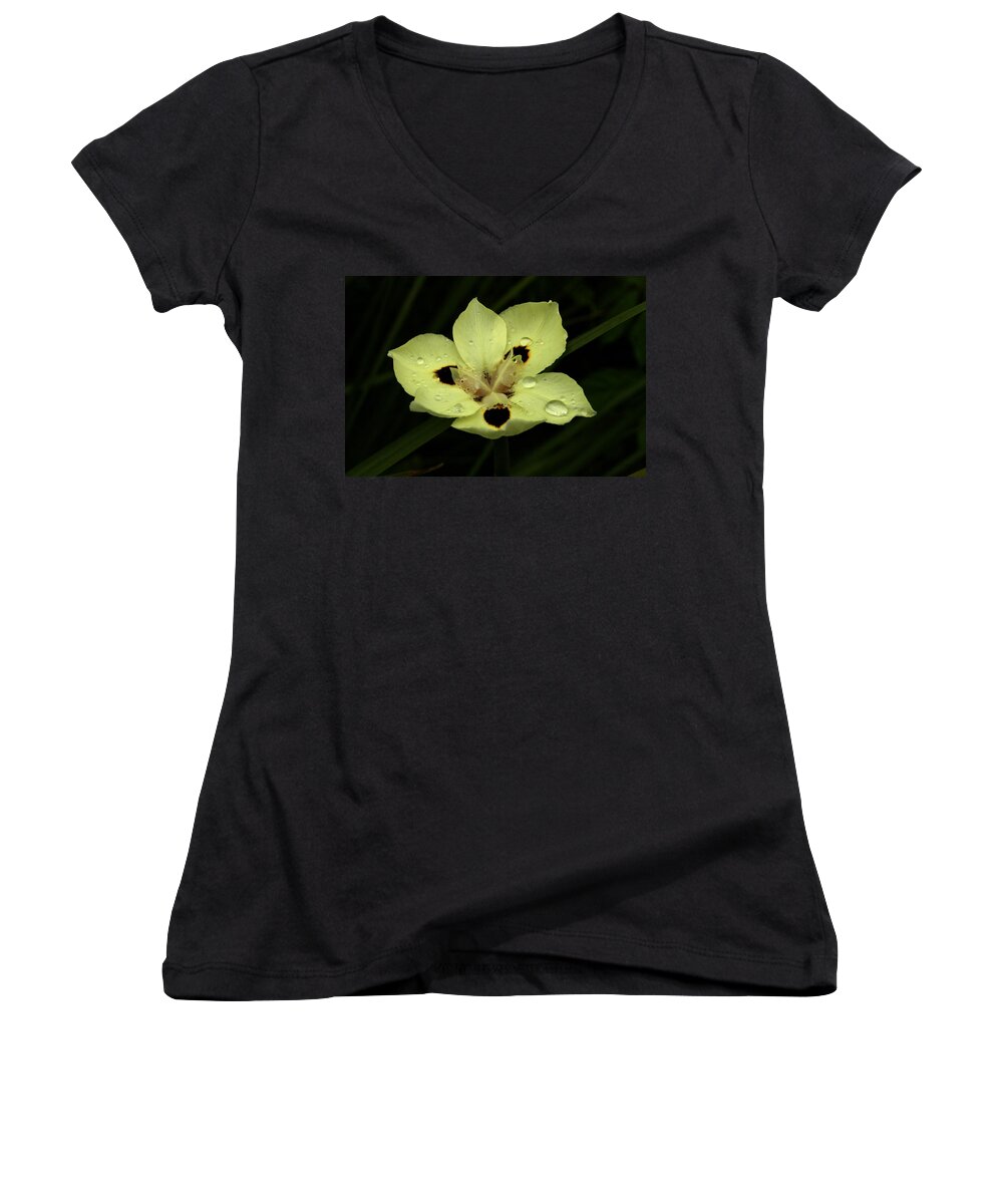 Prints Women's V-Neck featuring the photograph Yellow Iris with Rain Drops by Jennifer Bright Burr