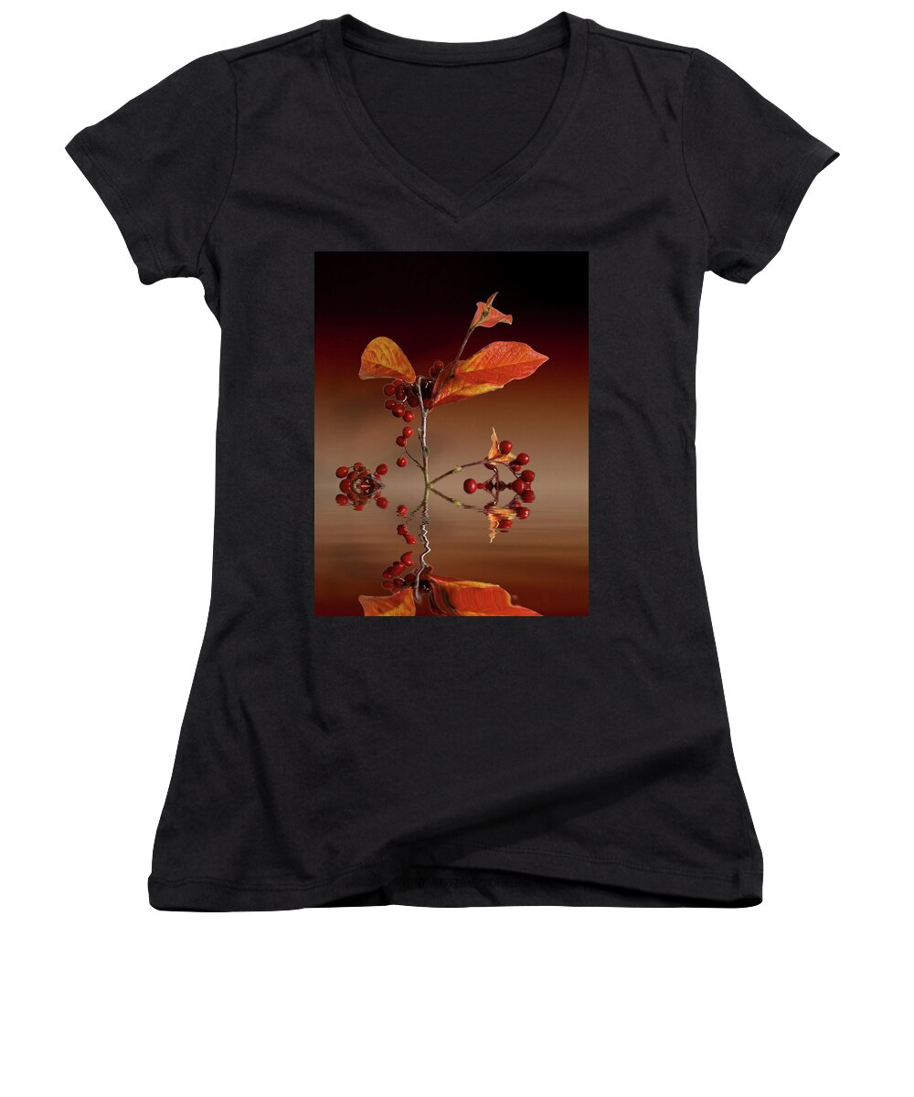 Leafs Women's V-Neck featuring the photograph Autumn leafs and red berries #1 by David French