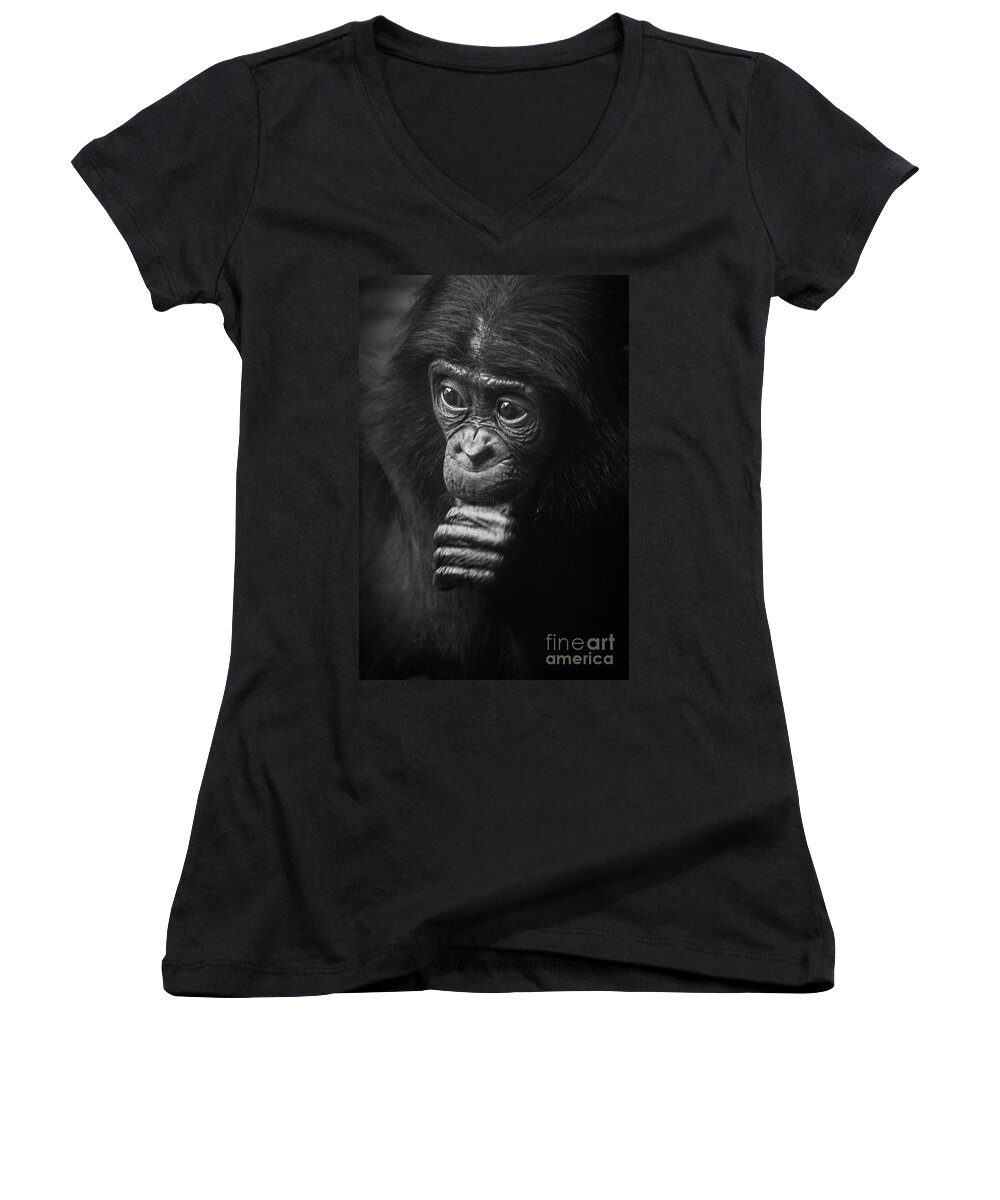 Bonobo Women's V-Neck featuring the photograph Baby Bonobo Portrait by Heiko Koehrer-Wagner