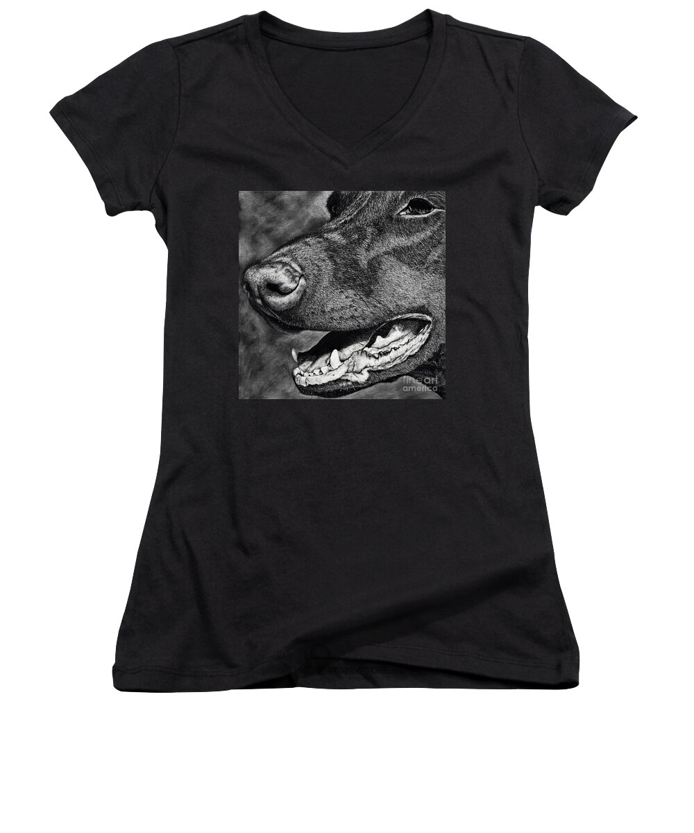 Dog Women's V-Neck featuring the drawing Doberman Face by Terri Mills