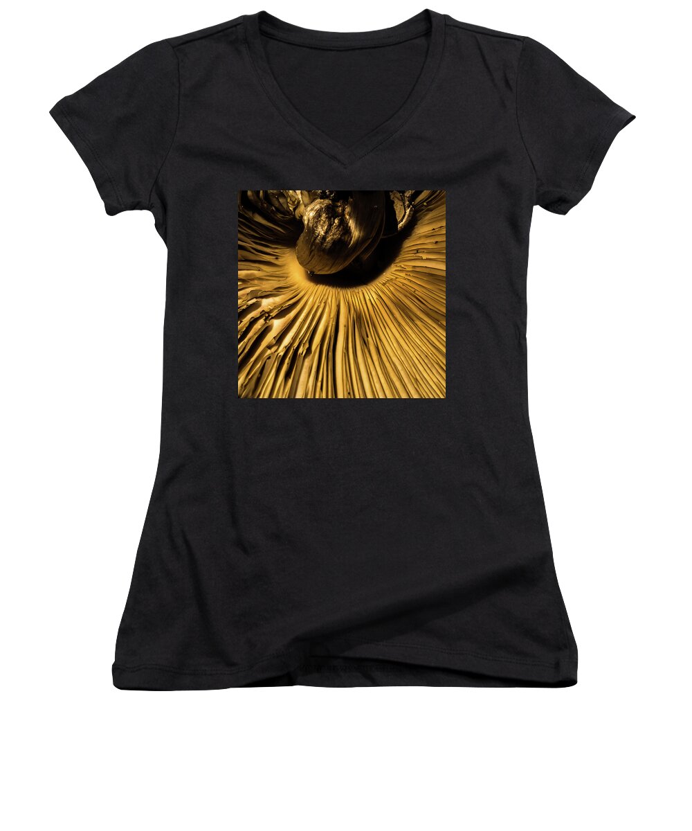Jay Stockhaus Women's V-Neck featuring the photograph Fungus #1 by Jay Stockhaus