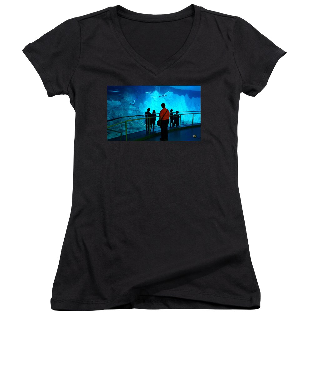 Penguins Women's V-Neck featuring the photograph The View Down Under - 2 by CHAZ Daugherty