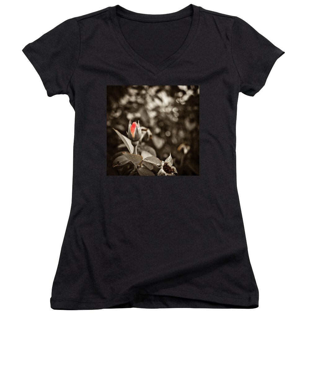 Rose Women's V-Neck featuring the photograph Vintage Rose #1 by Amber Flowers