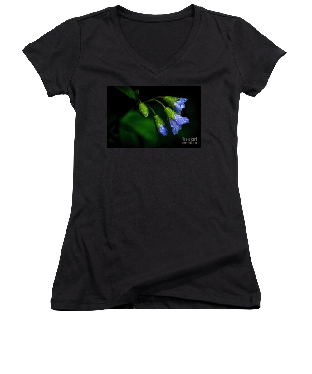 Jacobs Ladder Women's V-Neck featuring the photograph Jacobs Ladder #2 by Thomas R Fletcher