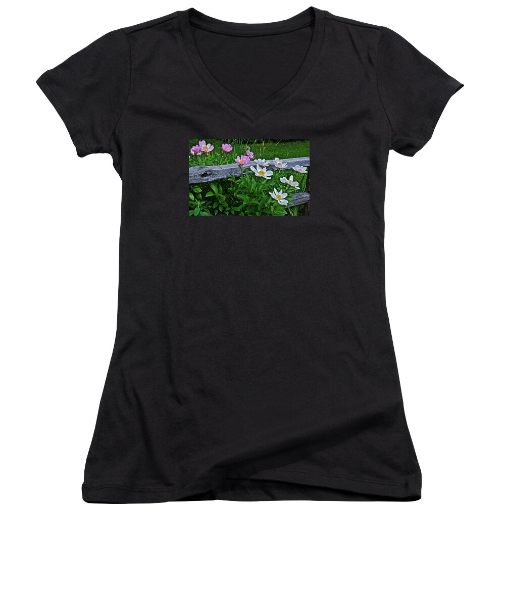 Peonies Women's V-Neck featuring the photograph 2015 Summer's Eve Neighborhood Garden Front Yard Peonies 2 by Janis Senungetuk
