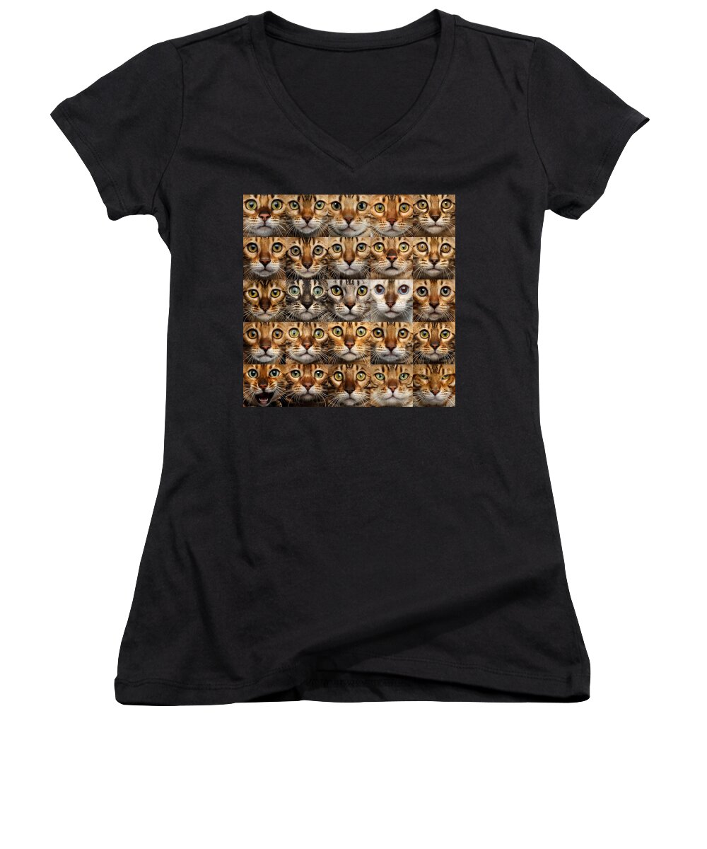 25 Women's V-Neck featuring the photograph 25 Different Bengal Cat faces by Sergey Taran