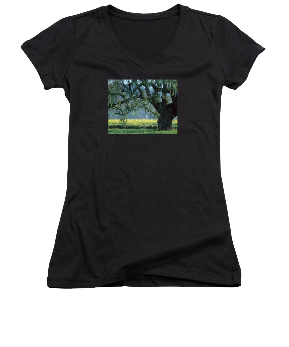 Mustard Women's V-Neck featuring the photograph 2B6319 Mustard in the Oaks Sonoma Ca by Ed Cooper Photography