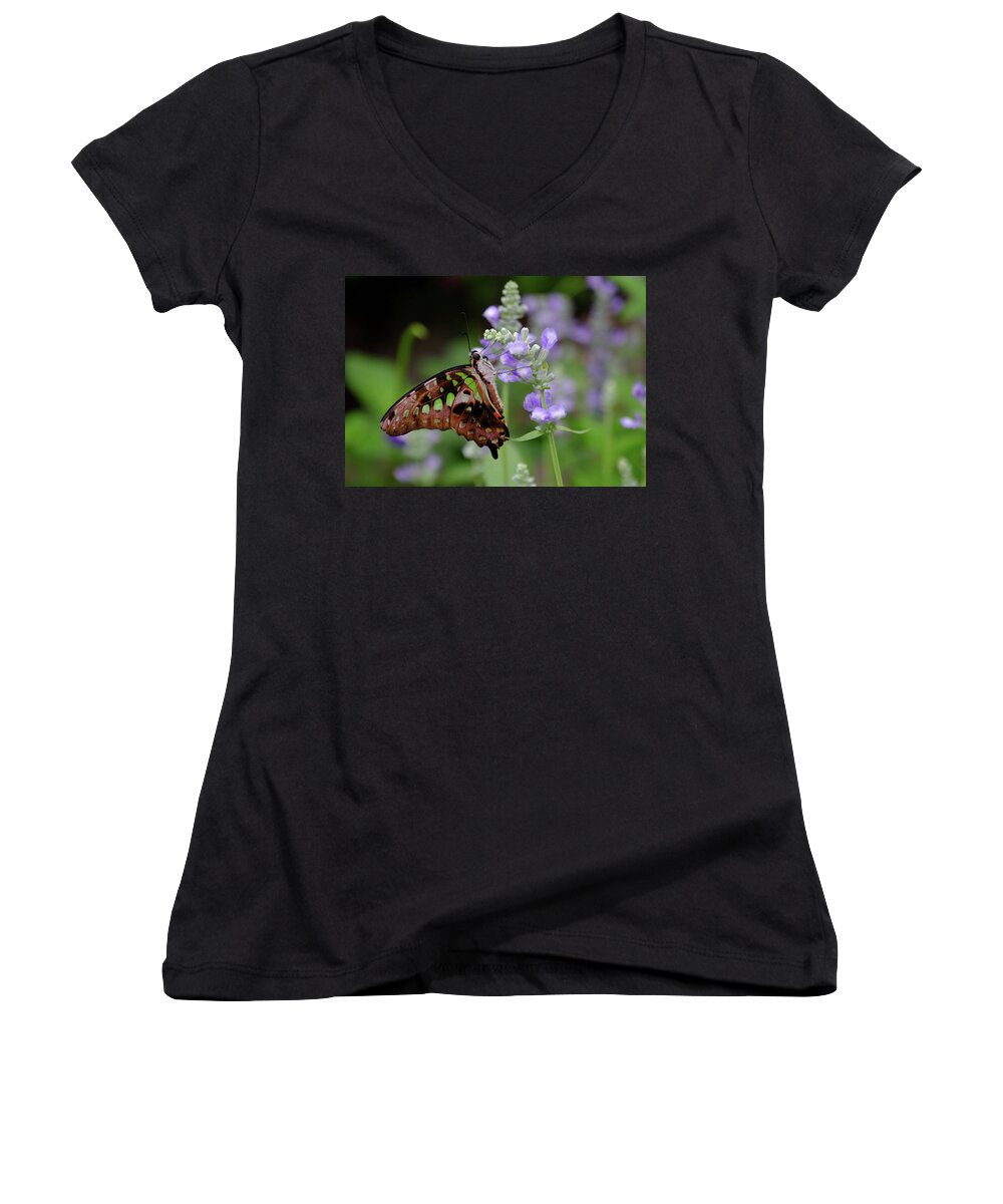 Butterfly Women's V-Neck featuring the photograph Tailed Jay #4 by Ronda Ryan