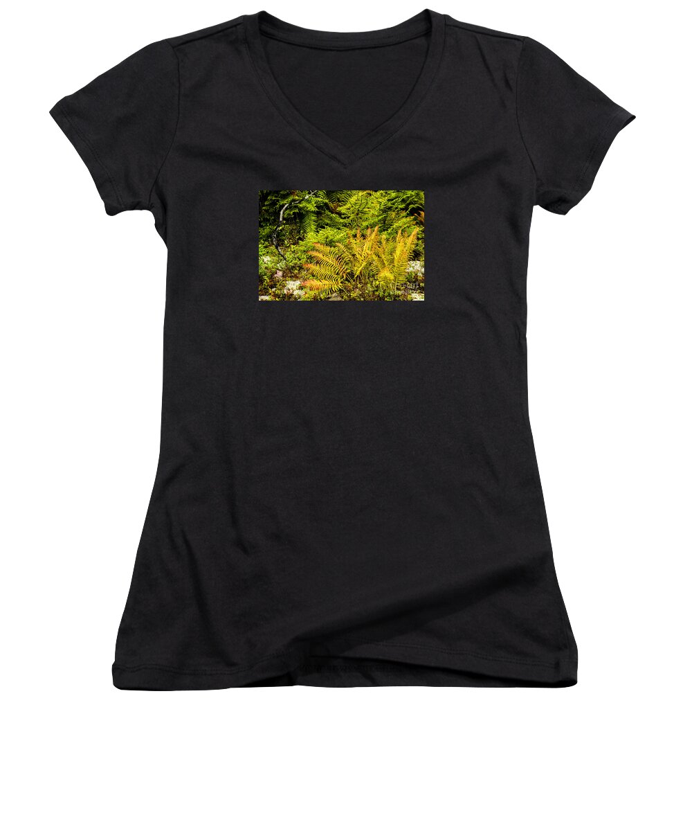 Cinnamon Fern Women's V-Neck featuring the photograph Fall Color Fern #9 by Thomas R Fletcher