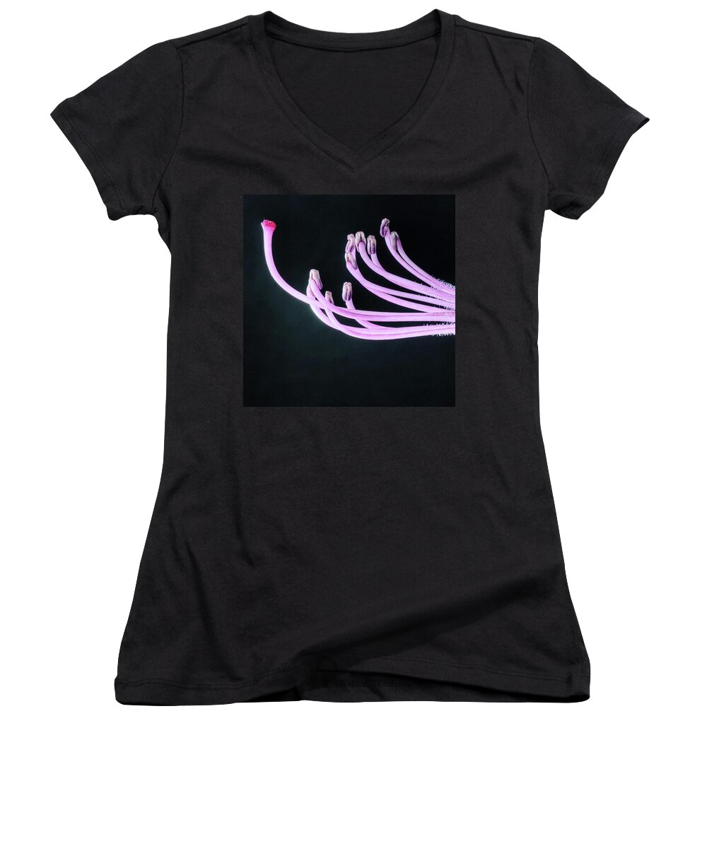 Beautiful Women's V-Neck featuring the photograph A Close Up Of The Reproductive Parts Of by John Edwards
