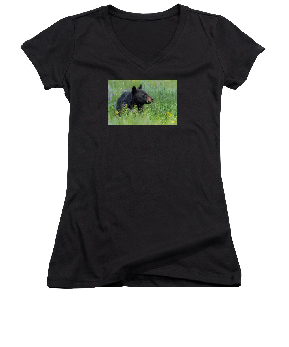 Bear Women's V-Neck featuring the photograph A Field Of Dreams by Yeates Photography