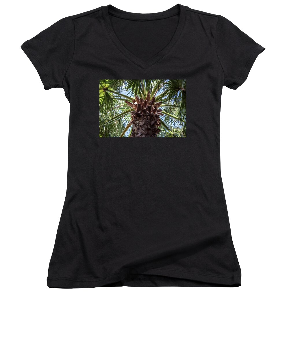 - Get 10-40% Off --> Www.ricardoscreations.com Women's V-Neck featuring the photograph Abstract Nature Tropical Palm Tree 1872A Green by Ricardos Creations