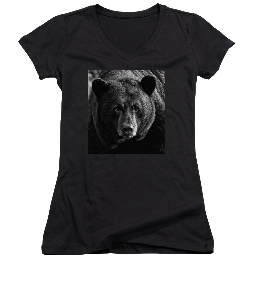 American Black Bear Women's V-Neck featuring the photograph Adult Male Black Bear by Coby Cooper