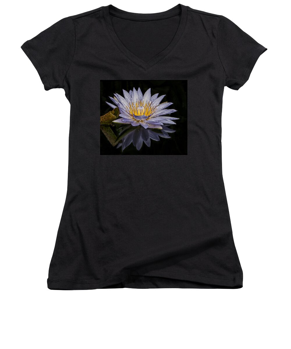 Water Lily Women's V-Neck featuring the photograph After the Rain by Roman Kurywczak