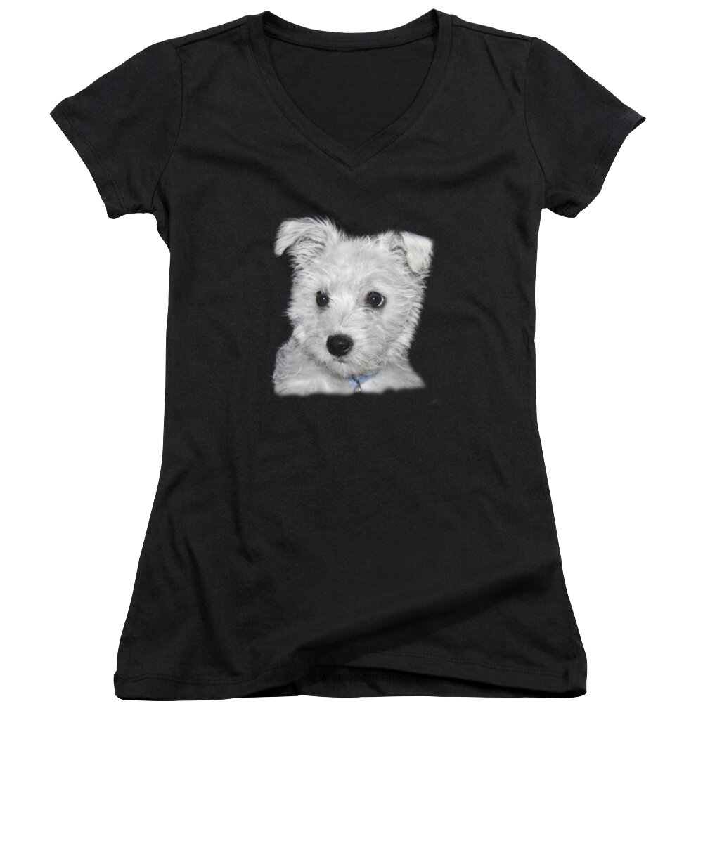 White Women's V-Neck featuring the photograph Alert Puppy on a transparent background by Terri Waters