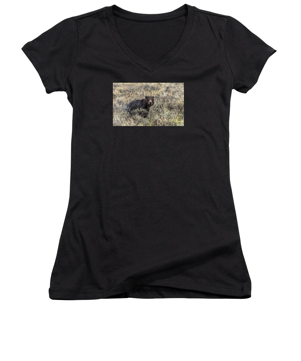 Hobo Women's V-Neck featuring the photograph All Alone by Yeates Photography