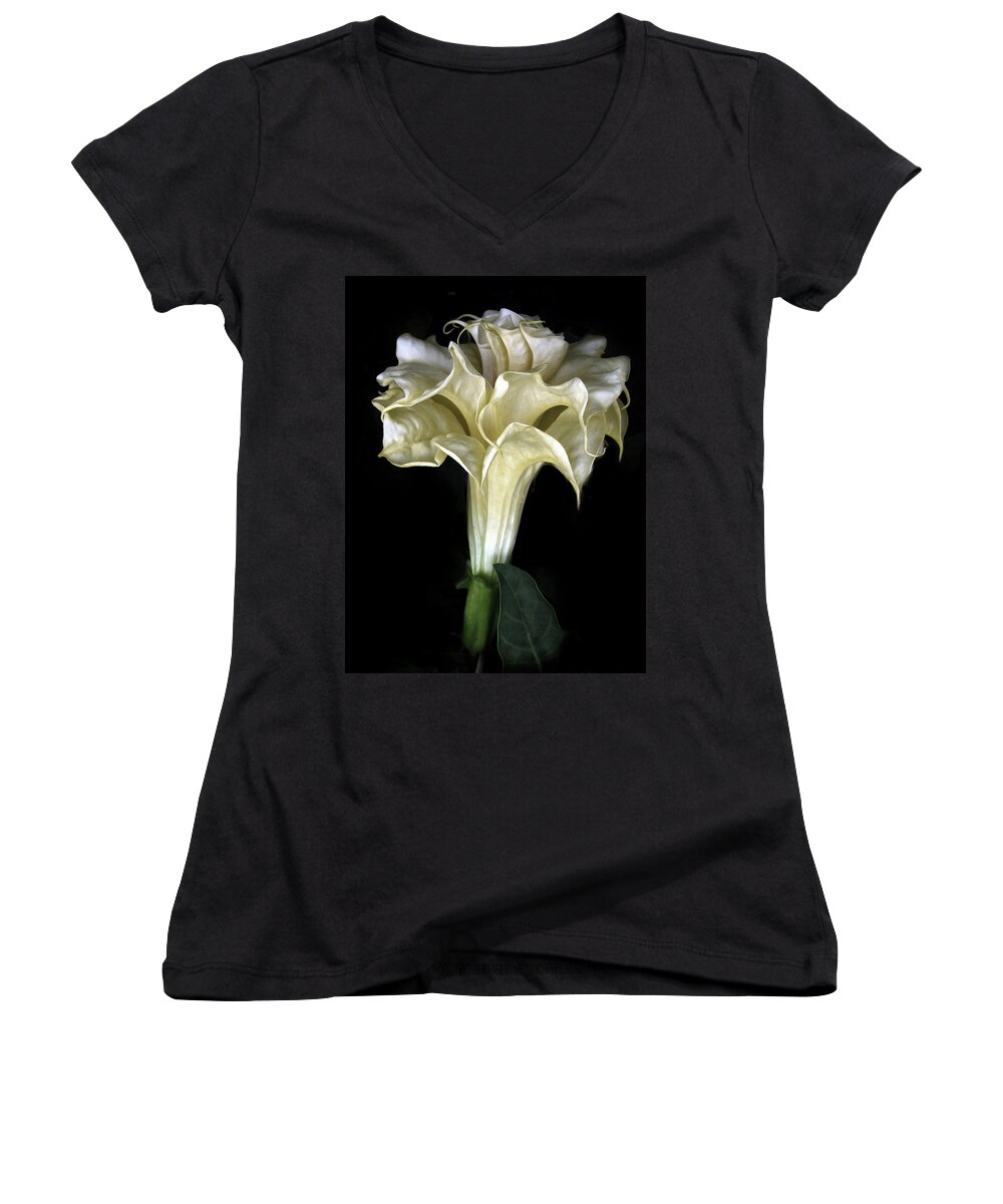 Flower Women's V-Neck featuring the photograph Angel Trumpet by Jessica Jenney