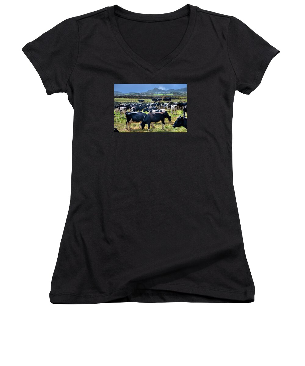 Agriculture Women's V-Neck featuring the photograph Animals Livestock-02 by Joseph Amaral