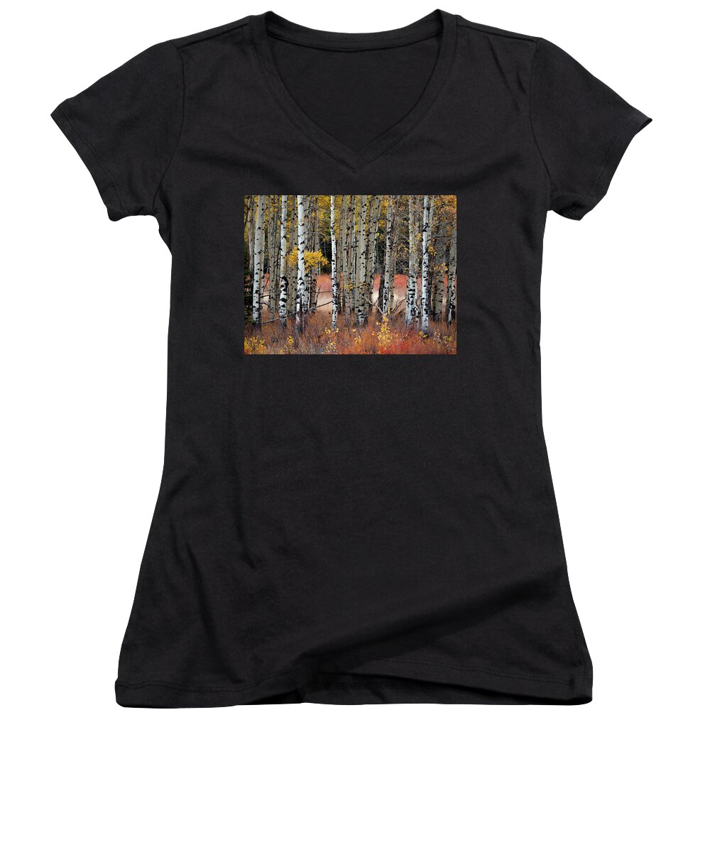 Aspen Women's V-Neck featuring the photograph Appreciation II by Emily Dickey