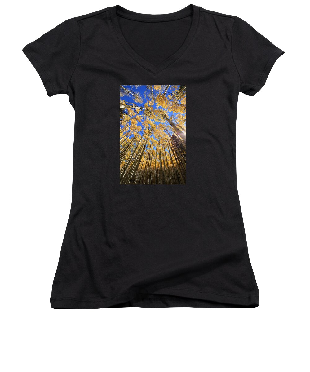 Aspens Women's V-Neck featuring the photograph Aspen Hues by Tom Kelly