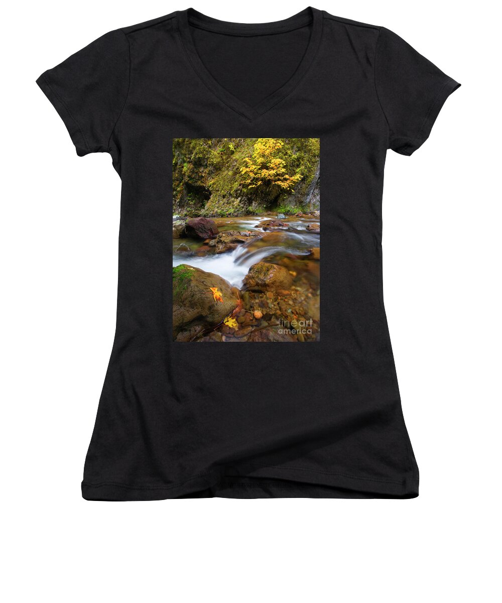 Autumn Women's V-Neck featuring the photograph Autumn Moment by Michael Dawson