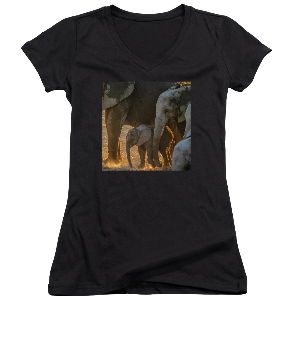 Elephant Women's V-Neck featuring the photograph Baby and siblings by Alistair Lyne