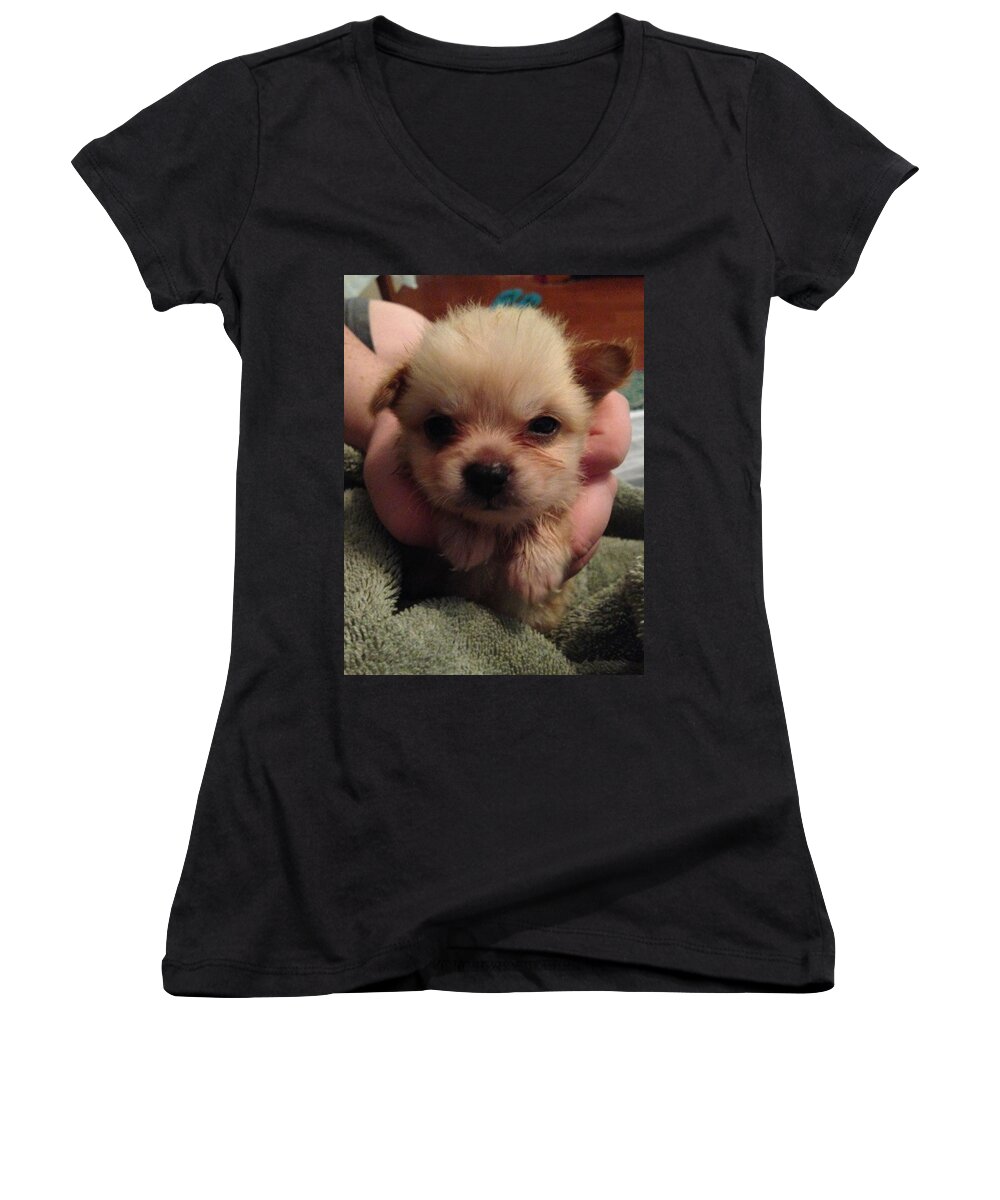 Piddles Women's V-Neck featuring the photograph Baby Piddles first bath by Donna Andrews