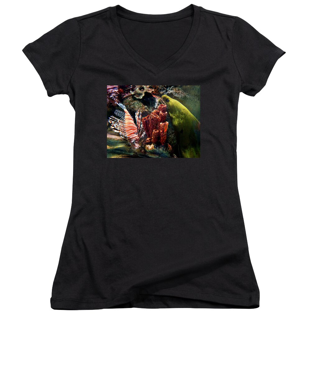 Eel Women's V-Neck featuring the photograph Barnacle Buddies by Bill Pevlor