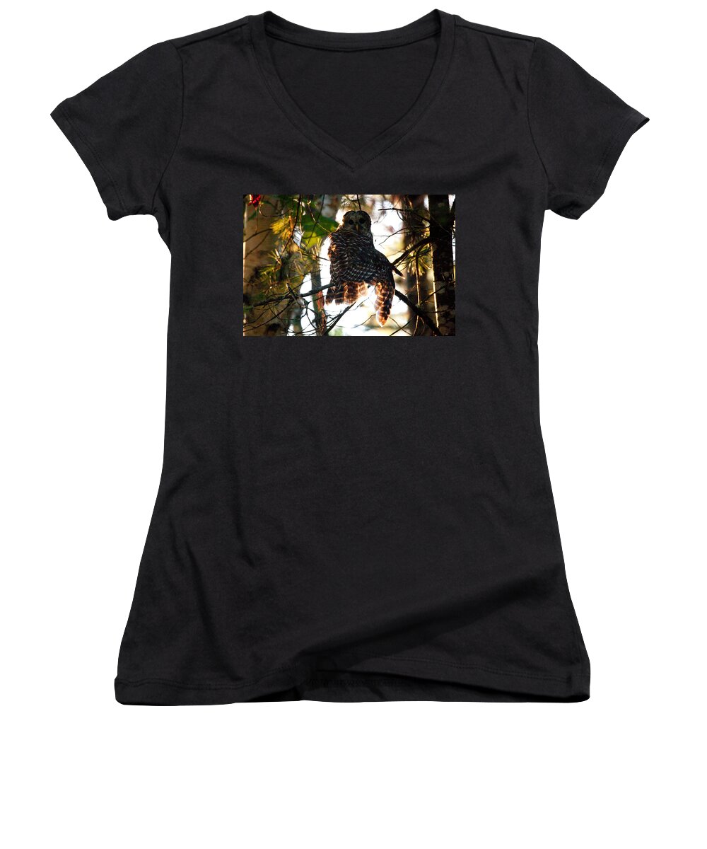 Barred Owl Women's V-Neck featuring the photograph Barred Owl at Sunrise by Brent L Ander