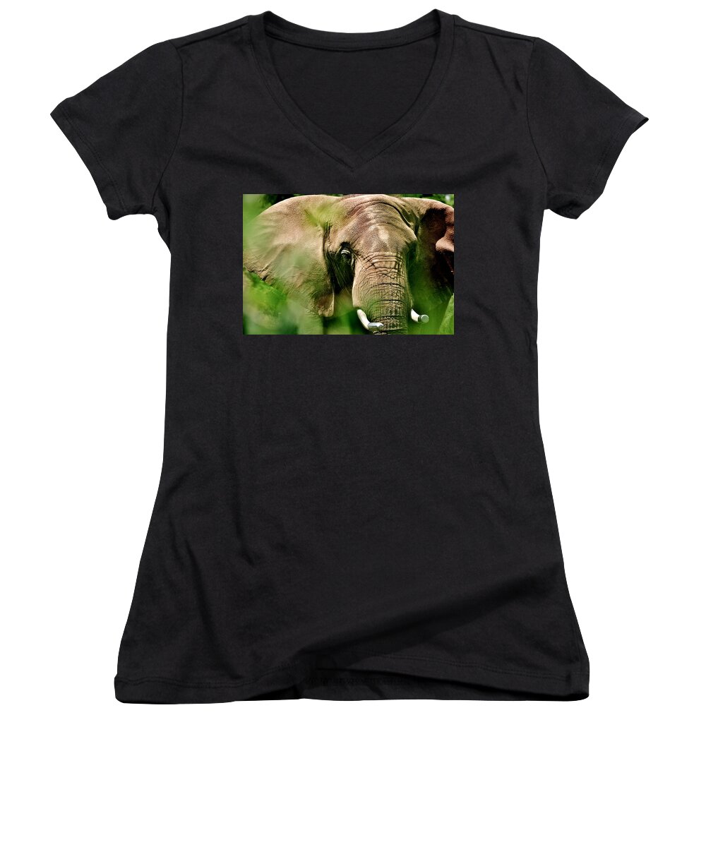 Elephant Women's V-Neck featuring the photograph Bashful Elephant by Eileen Brymer