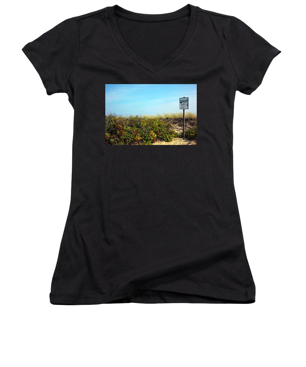 Plants Women's V-Neck featuring the photograph Be Kind To The Dune Plants by Madeline Ellis