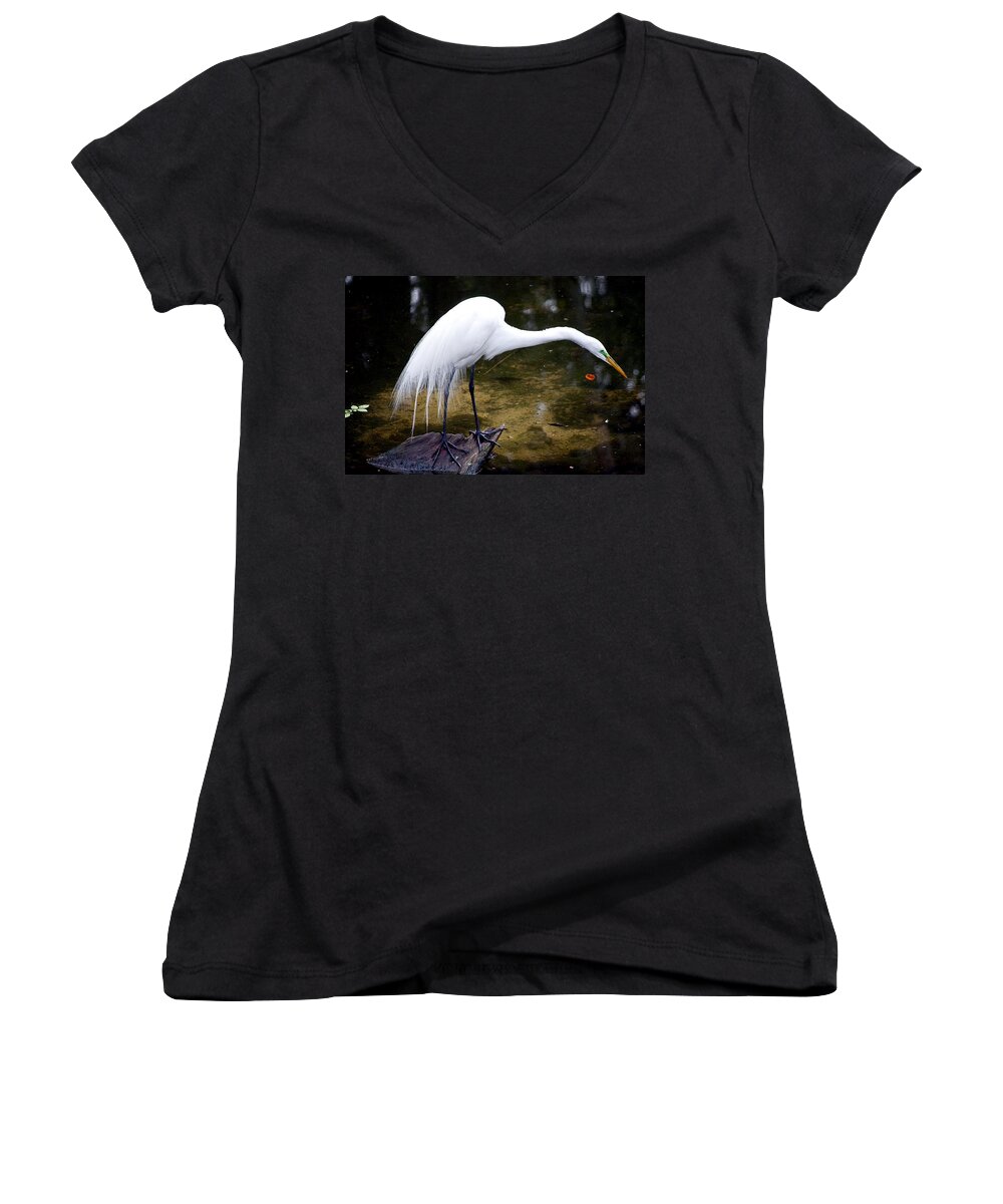 Wildlife Women's V-Neck featuring the photograph Beautiful Plumage by Kenneth Albin