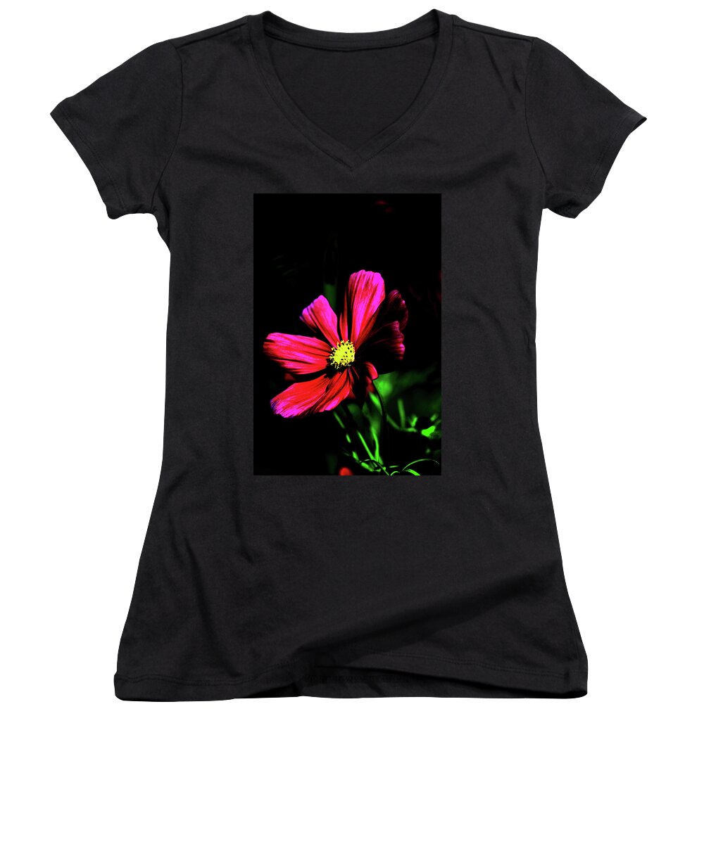 Nature Women's V-Neck featuring the photograph Beauty by Tom Prendergast