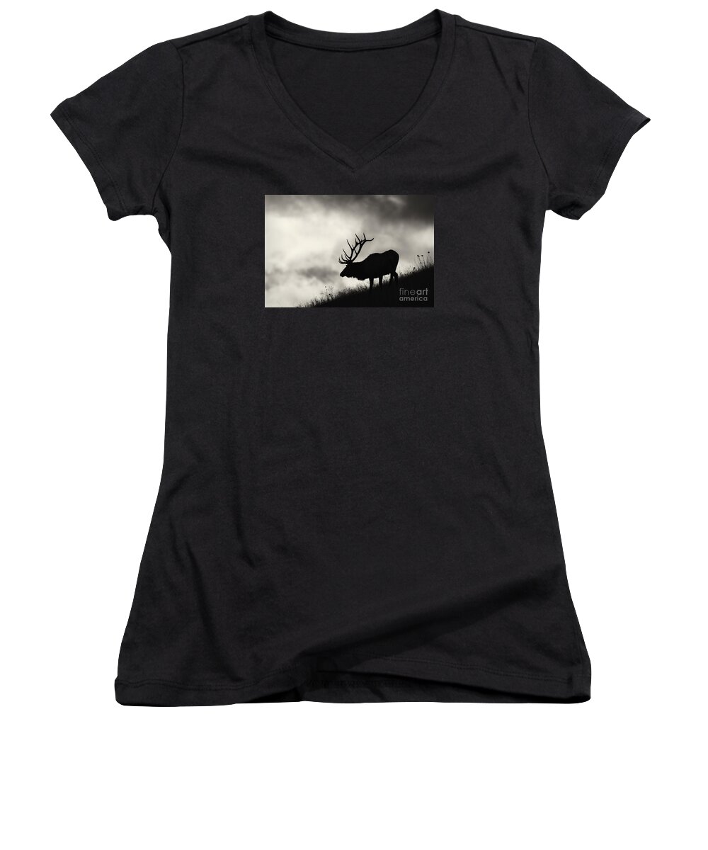 Elk Women's V-Neck featuring the photograph Big Sky by Aaron Whittemore