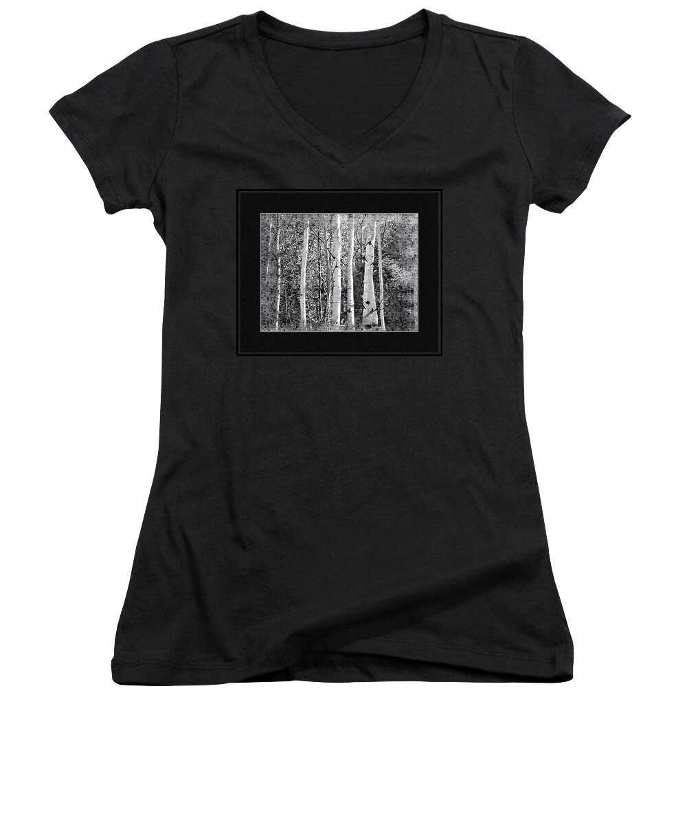 Birch Trees Women's V-Neck featuring the photograph Birch Trees by Susan Kinney