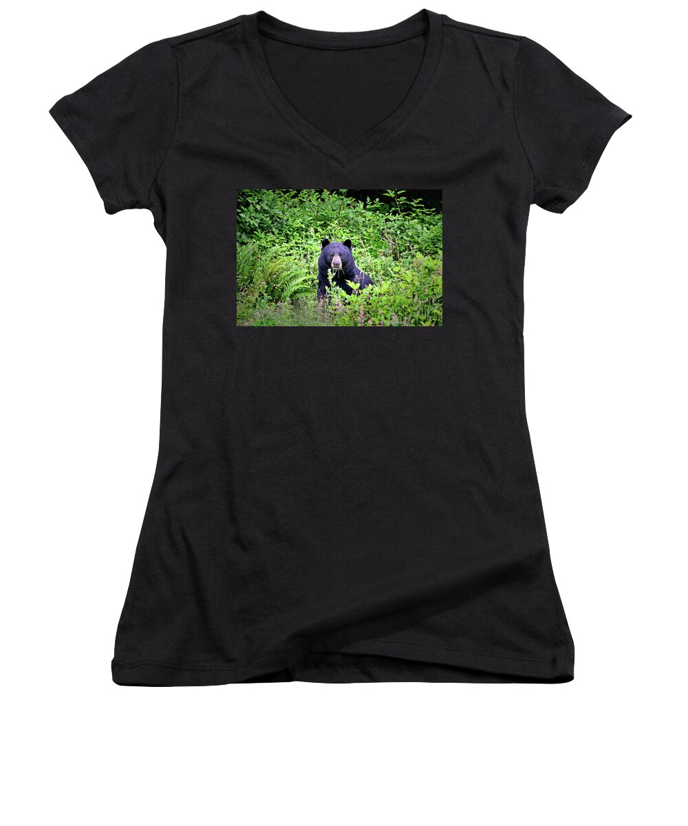 Bears Women's V-Neck featuring the photograph Black Bear Eating His Veggies by Peggy Collins