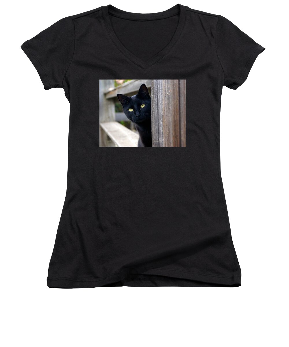 Cat Women's V-Neck featuring the photograph Bright Eyed Kitty by Tracey Vivar
