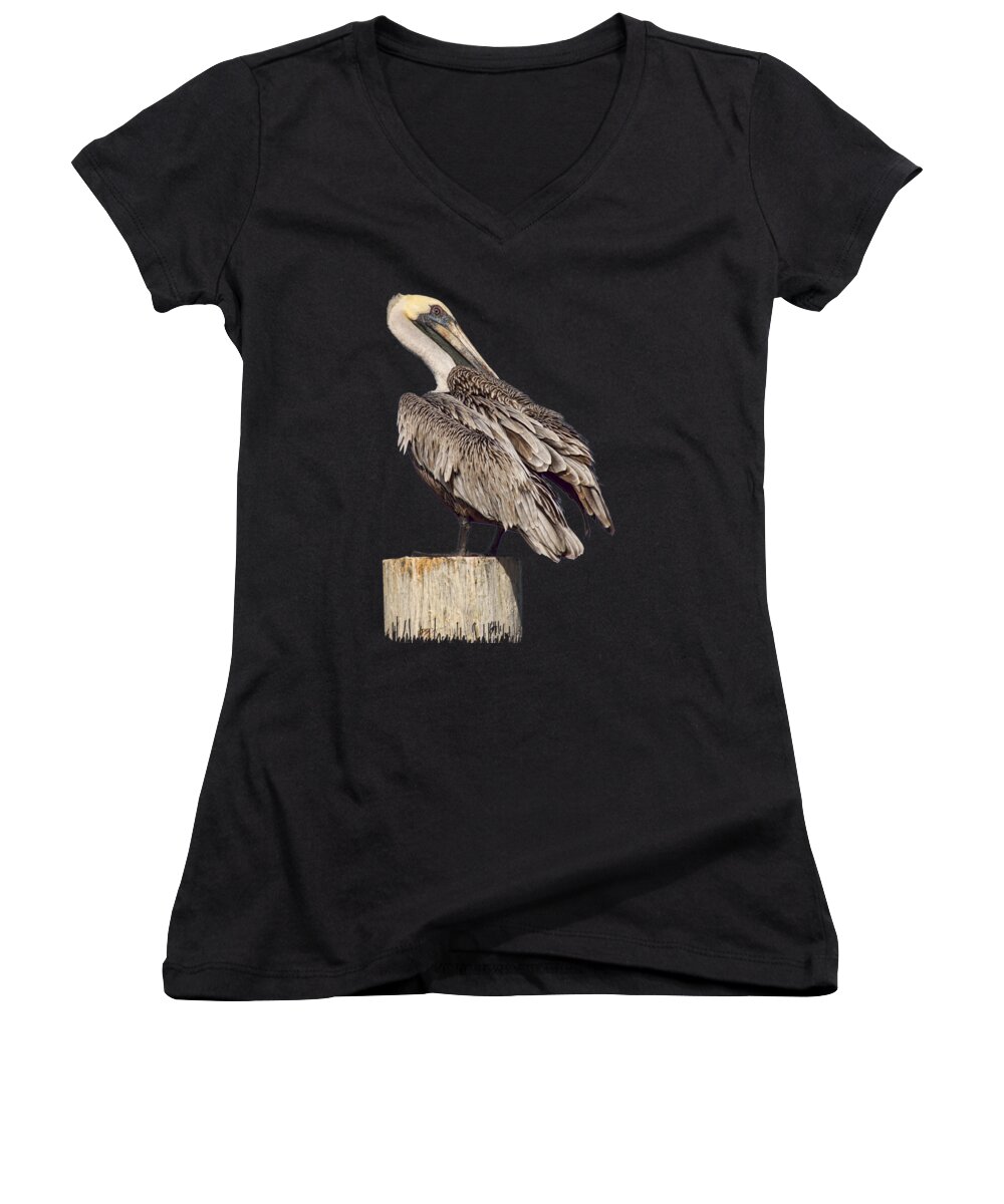 Brown Pelican Women's V-Neck featuring the photograph Brown Pelican - Preening - Transparent by Nikolyn McDonald