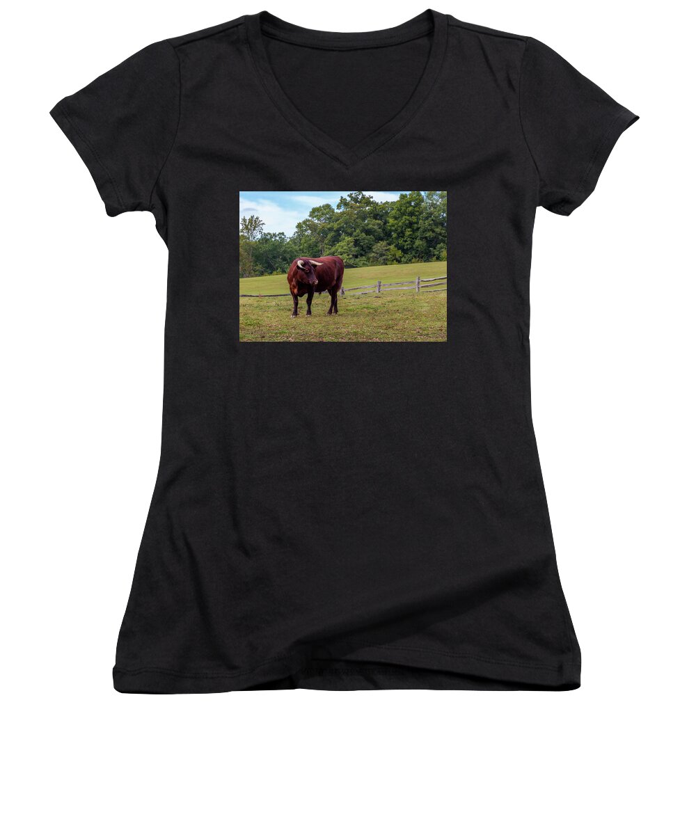  Bull Women's V-Neck featuring the photograph Bull in Field by Ed Clark