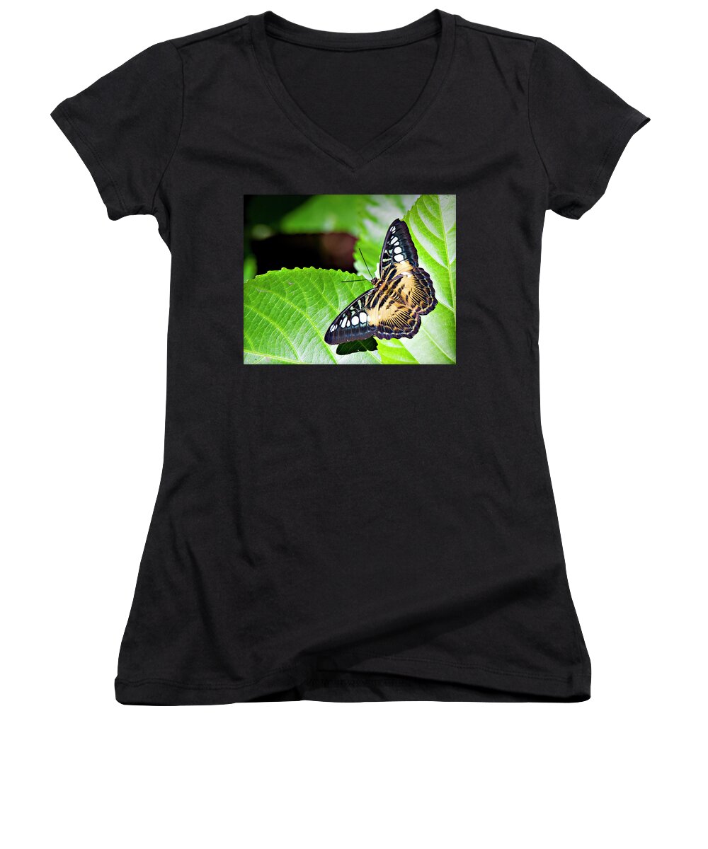 Butterfly Women's V-Neck featuring the photograph Butterfly 13a by Walter Herrit