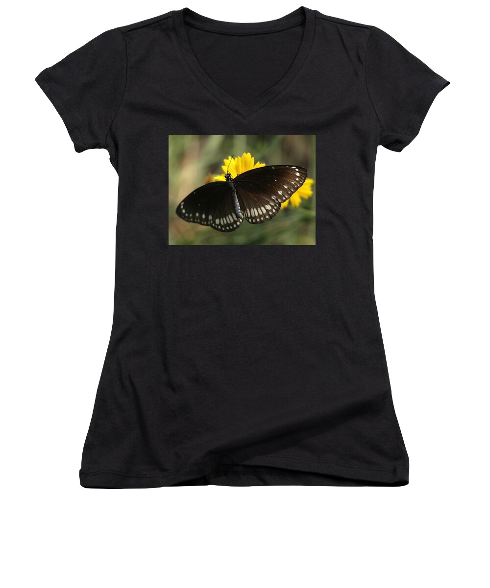 Butterfly India Indian Black White Yellow Women's V-Neck featuring the photograph Butterfly, India by Ian Sanders