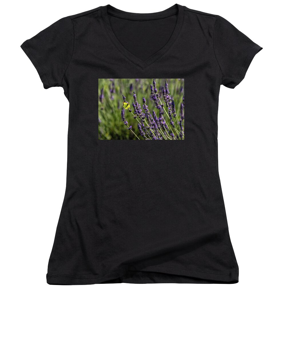 Lavender Women's V-Neck featuring the photograph Butterfly n Lavender by Rod Best