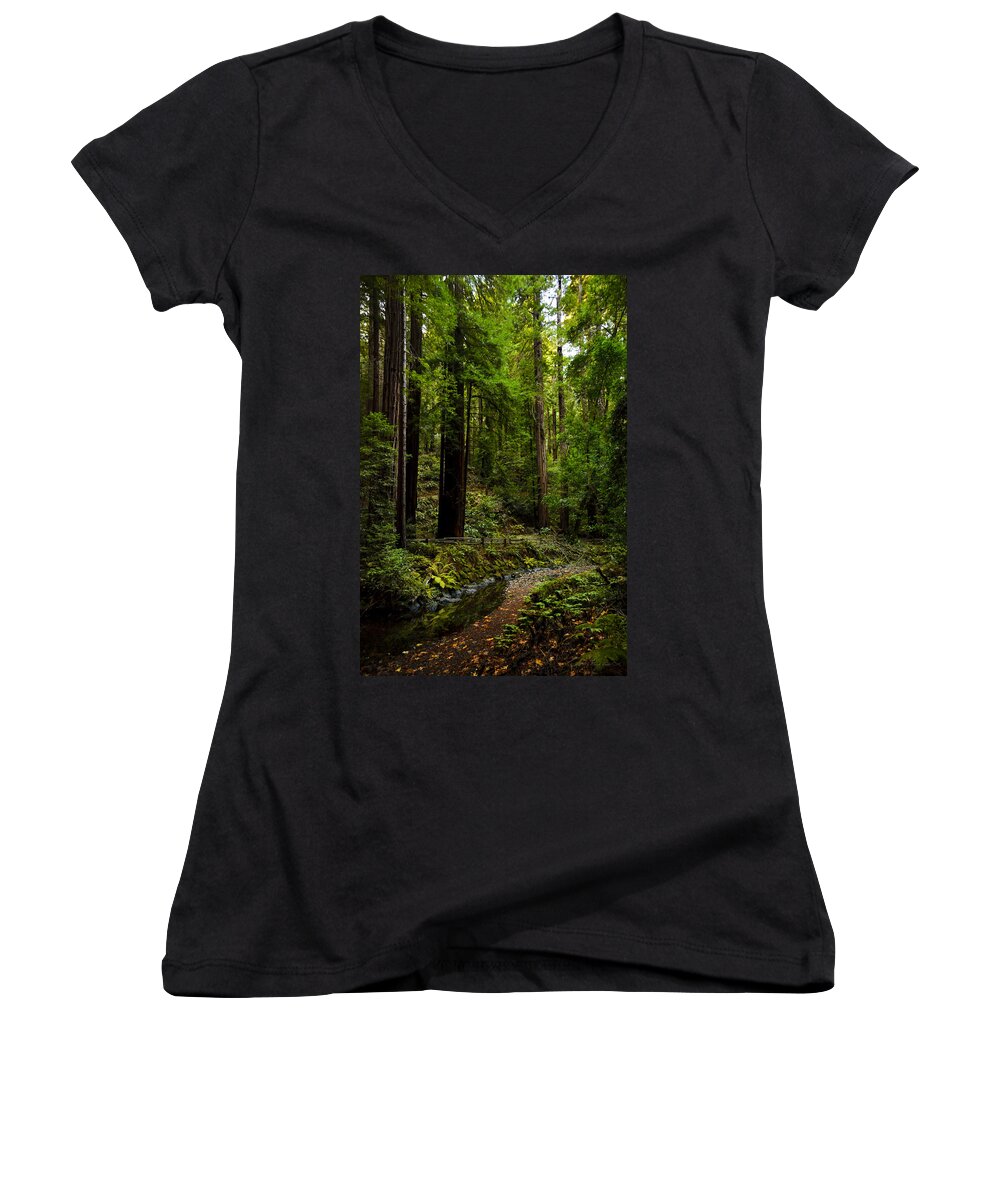 Nature Women's V-Neck featuring the photograph By the Stream in Muir Woods by Brian Tada