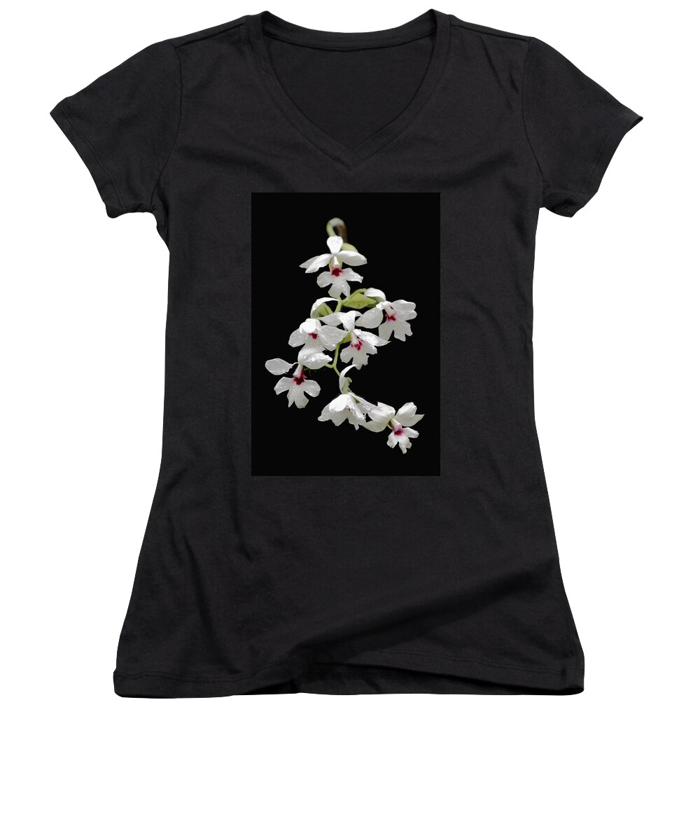 Beautiful Women's V-Neck featuring the photograph Calanthe Vestita Orchid by Rudy Umans
