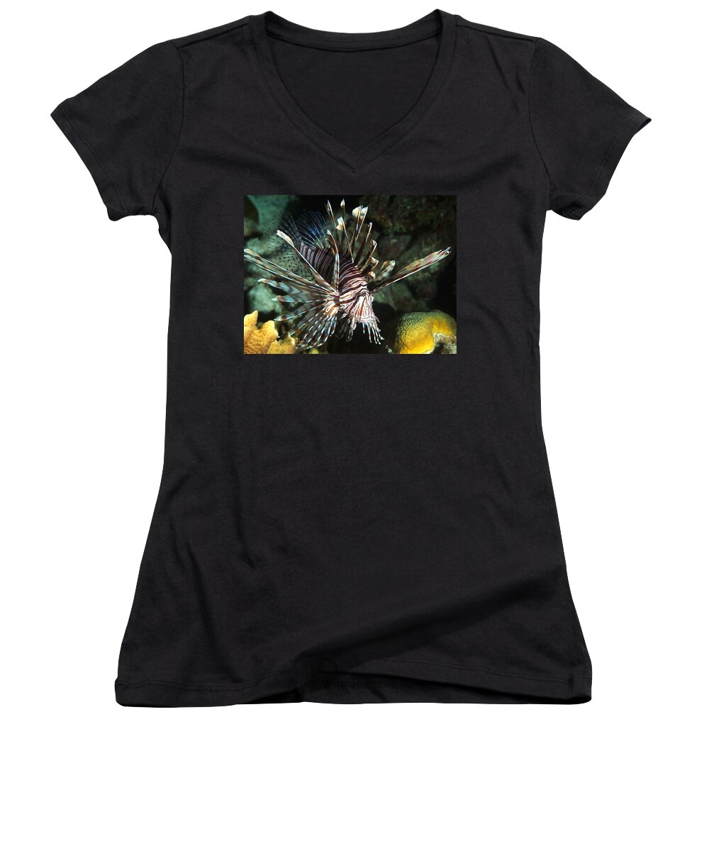 Lionfish Women's V-Neck featuring the photograph Caribbean Lion Fish by Amy McDaniel