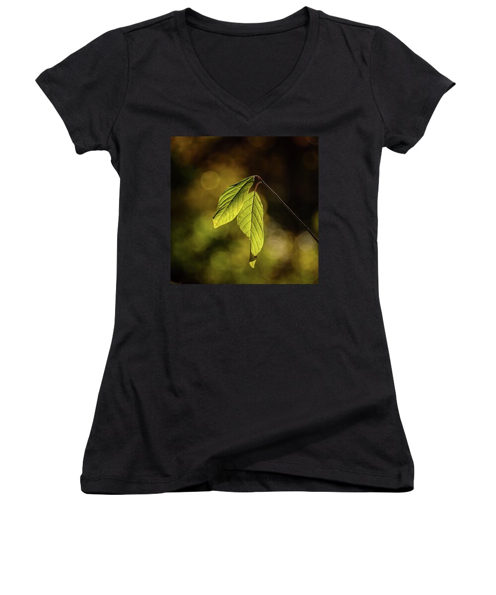 Nature Women's V-Neck featuring the photograph Caught in the Light by Robert Mitchell