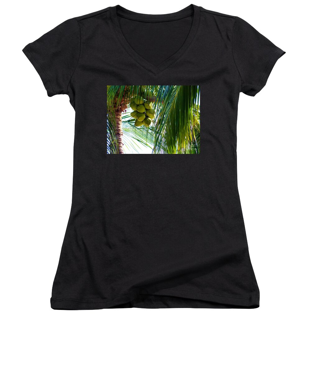 Palm Trees Women's V-Neck featuring the photograph Coconuts by Rosanne Licciardi